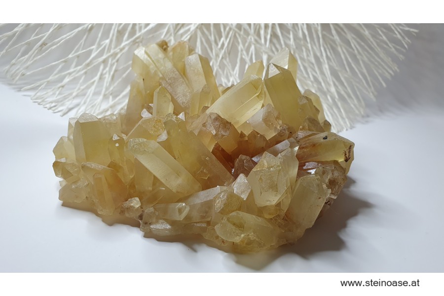 Natur Citrin Spitzen / Stufe
